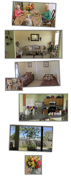 pic8